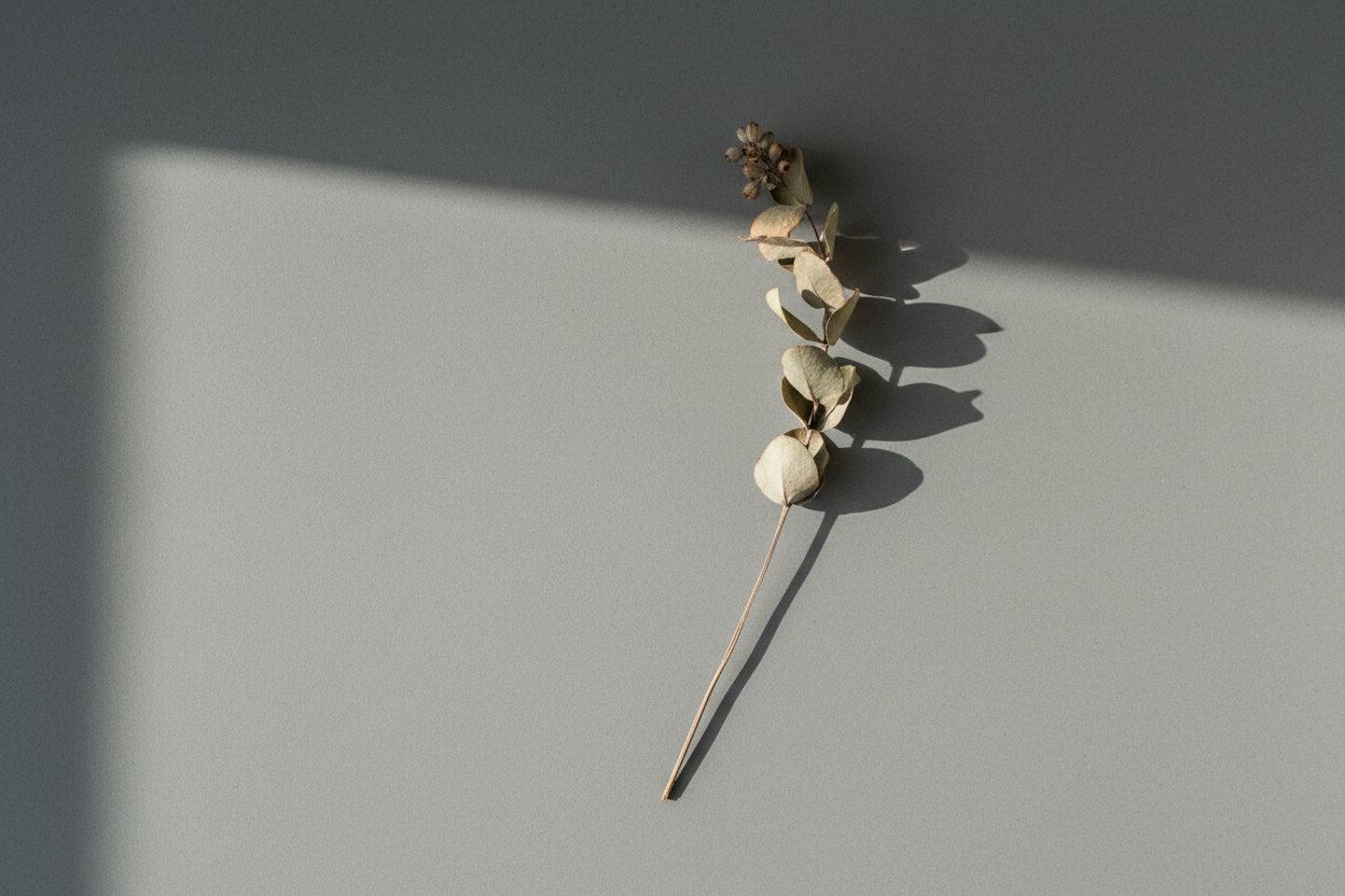 Minimalist
