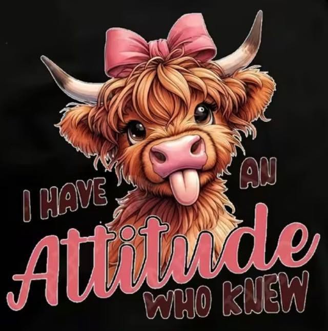 Attitude who knew T-shirt