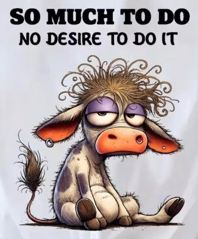 So much to do T-shirt
